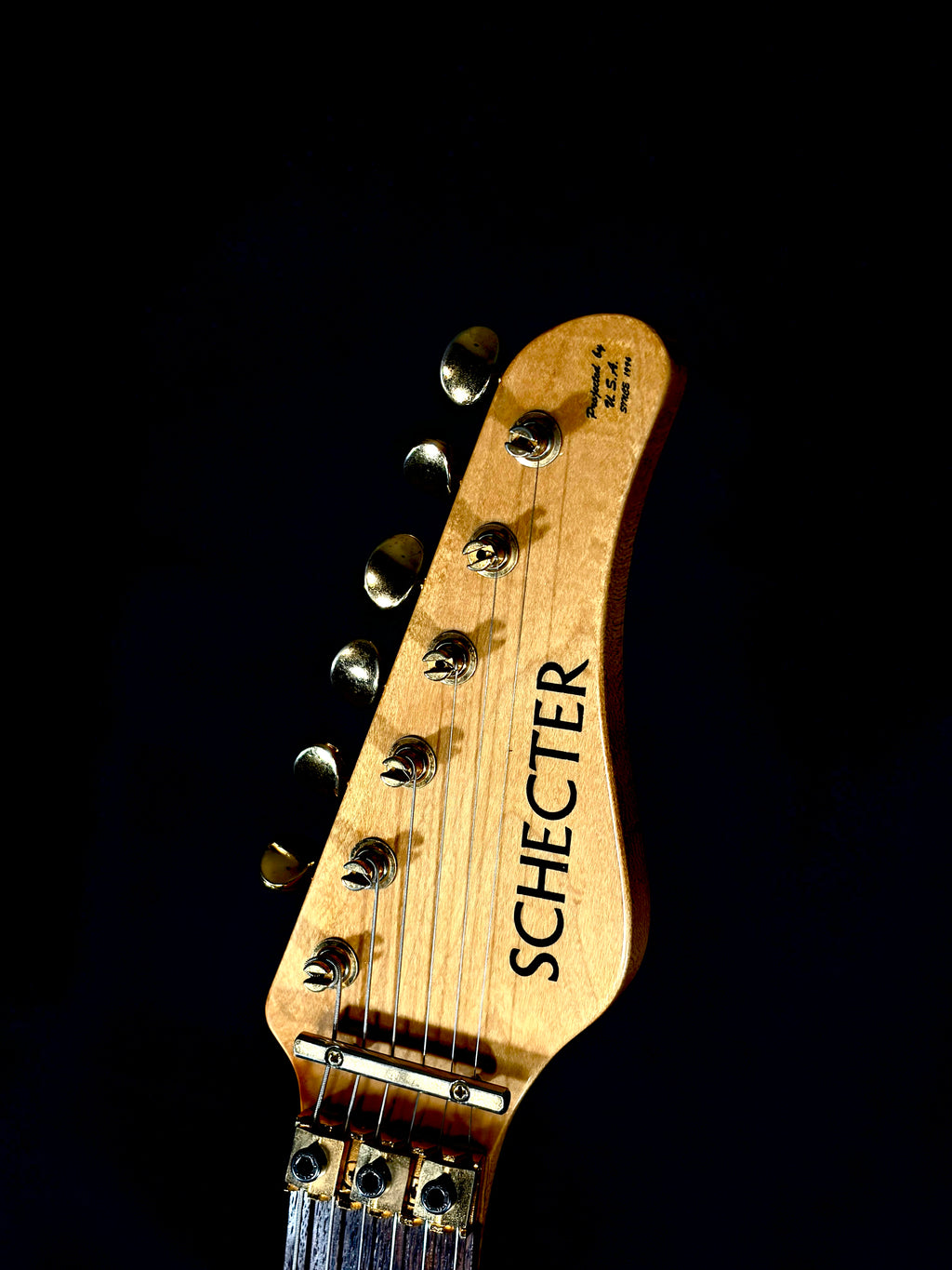 Schecter NV II 22 CDS Guitars