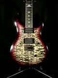 PRS SE Mark Holcomb CDS Guitars