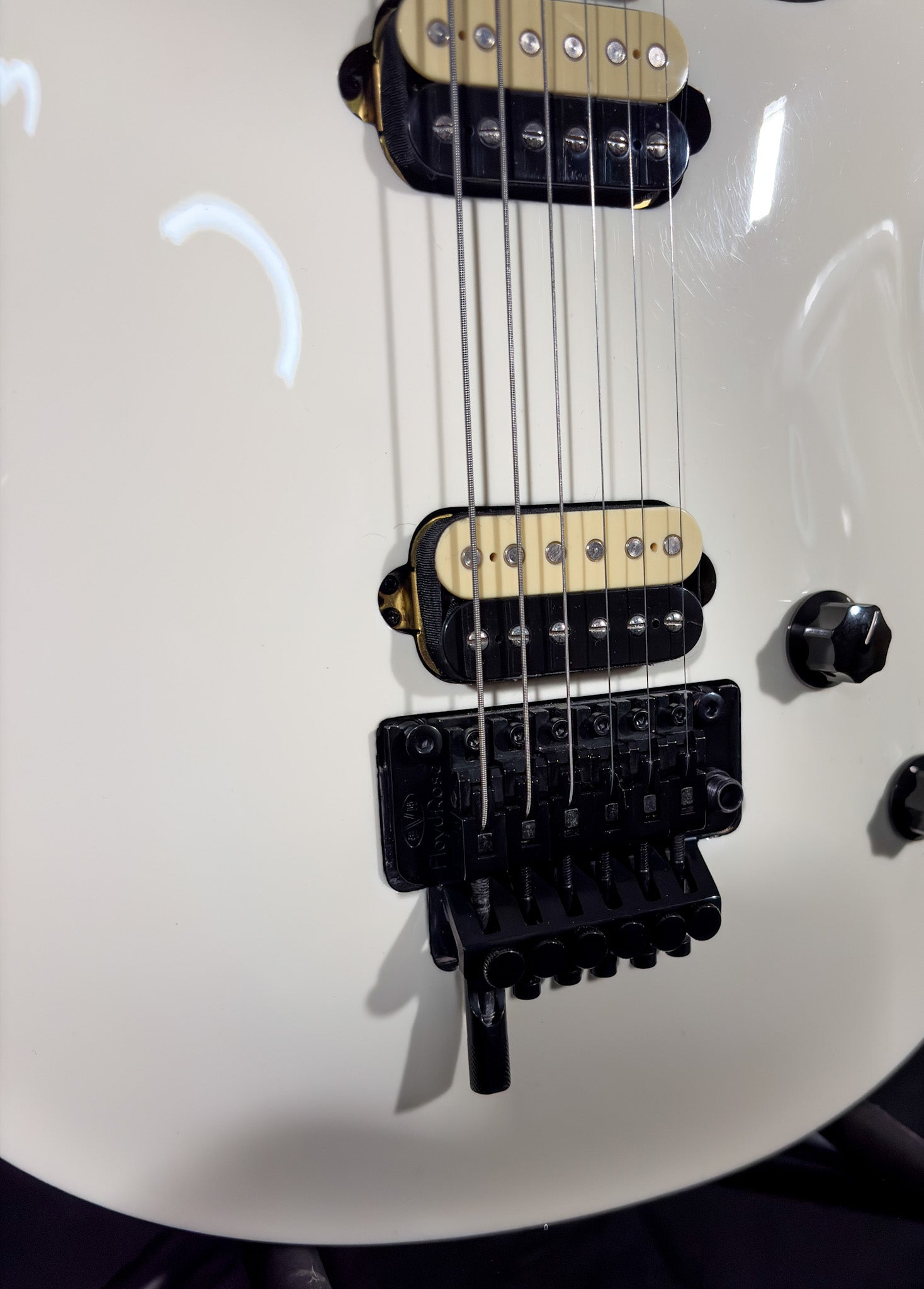 EVH Wolfgang Special