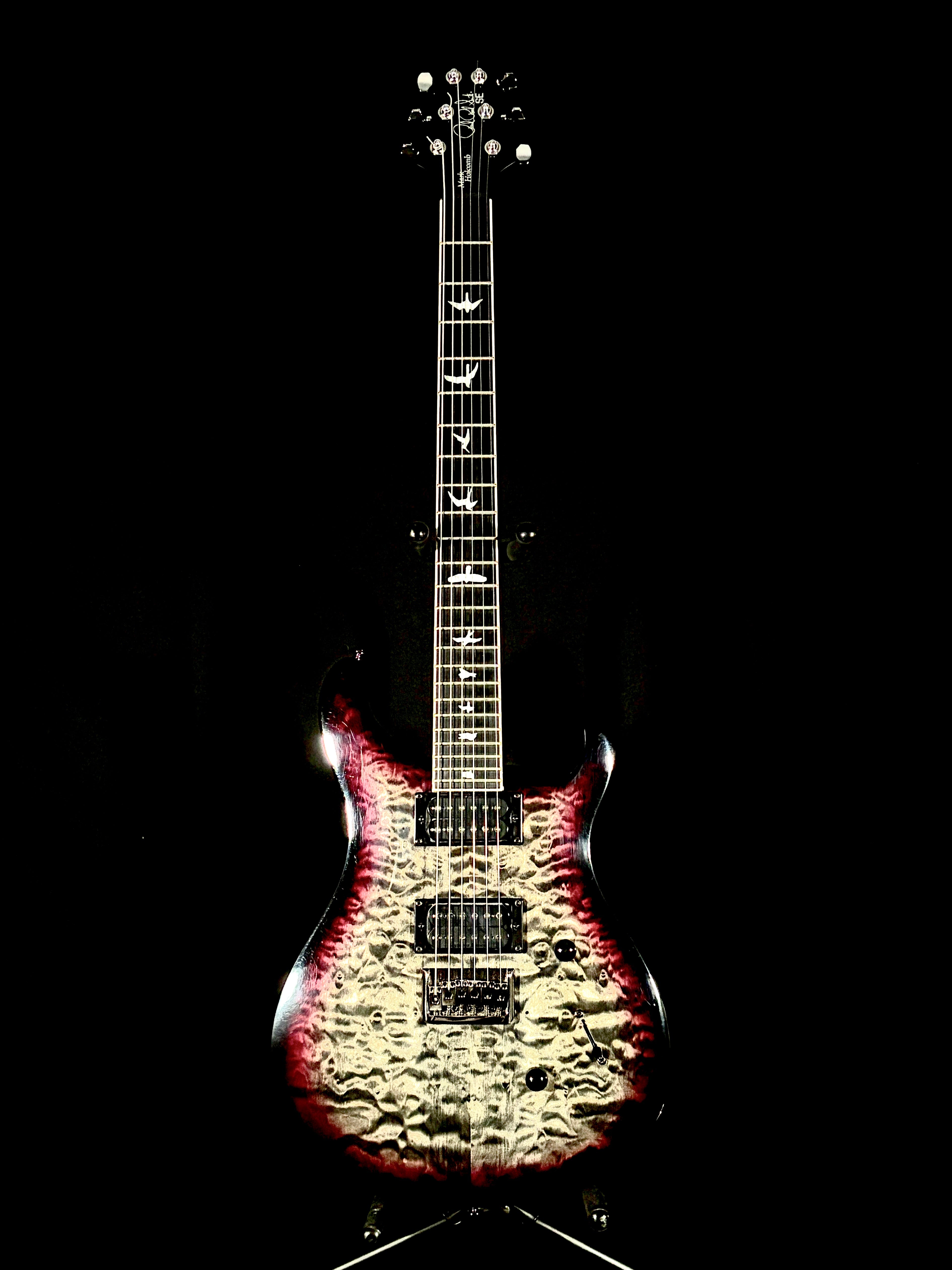 PRS SE Mark Holcomb CDS Guitars