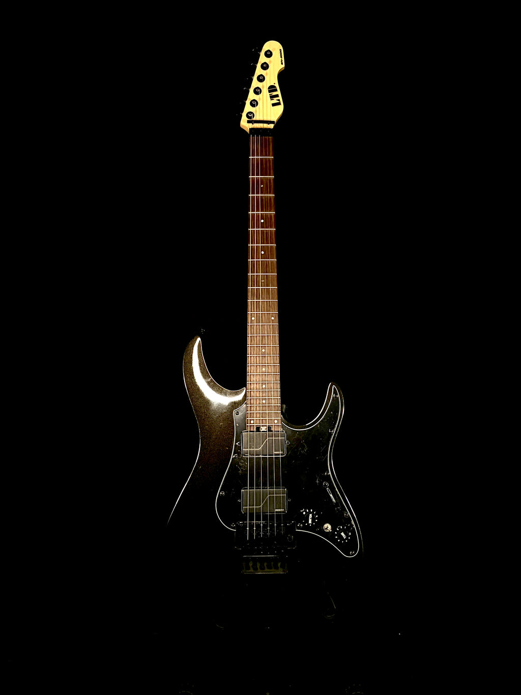 ESP LTD SN-1000 FR CDS Guitars