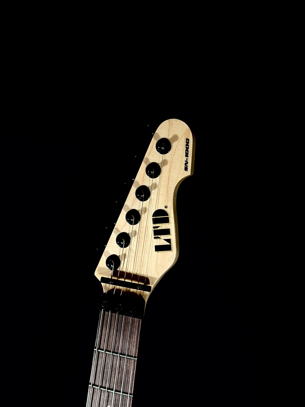 ESP LTD SN-1000 FR CDS Guitars