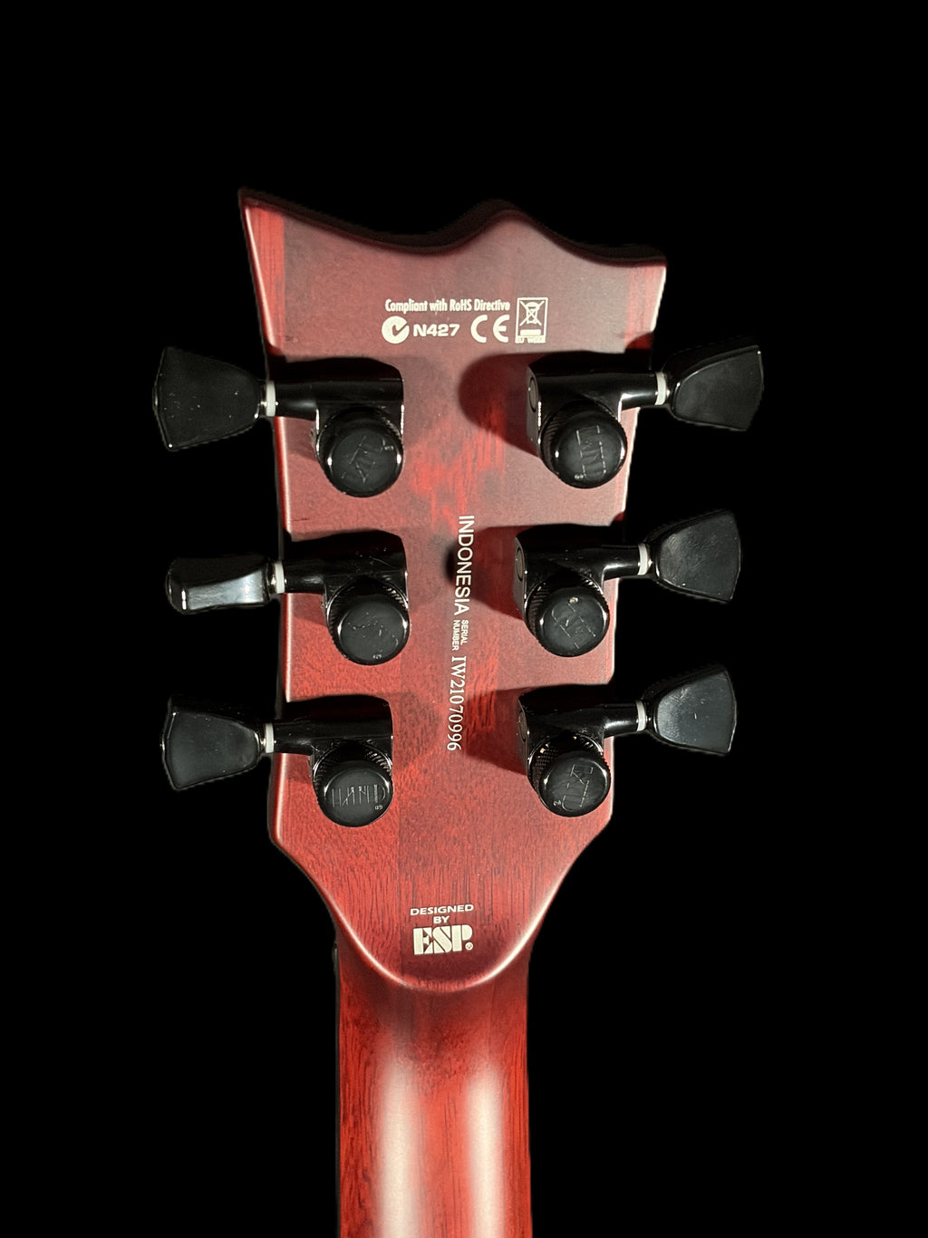 ESP LTD EC1001