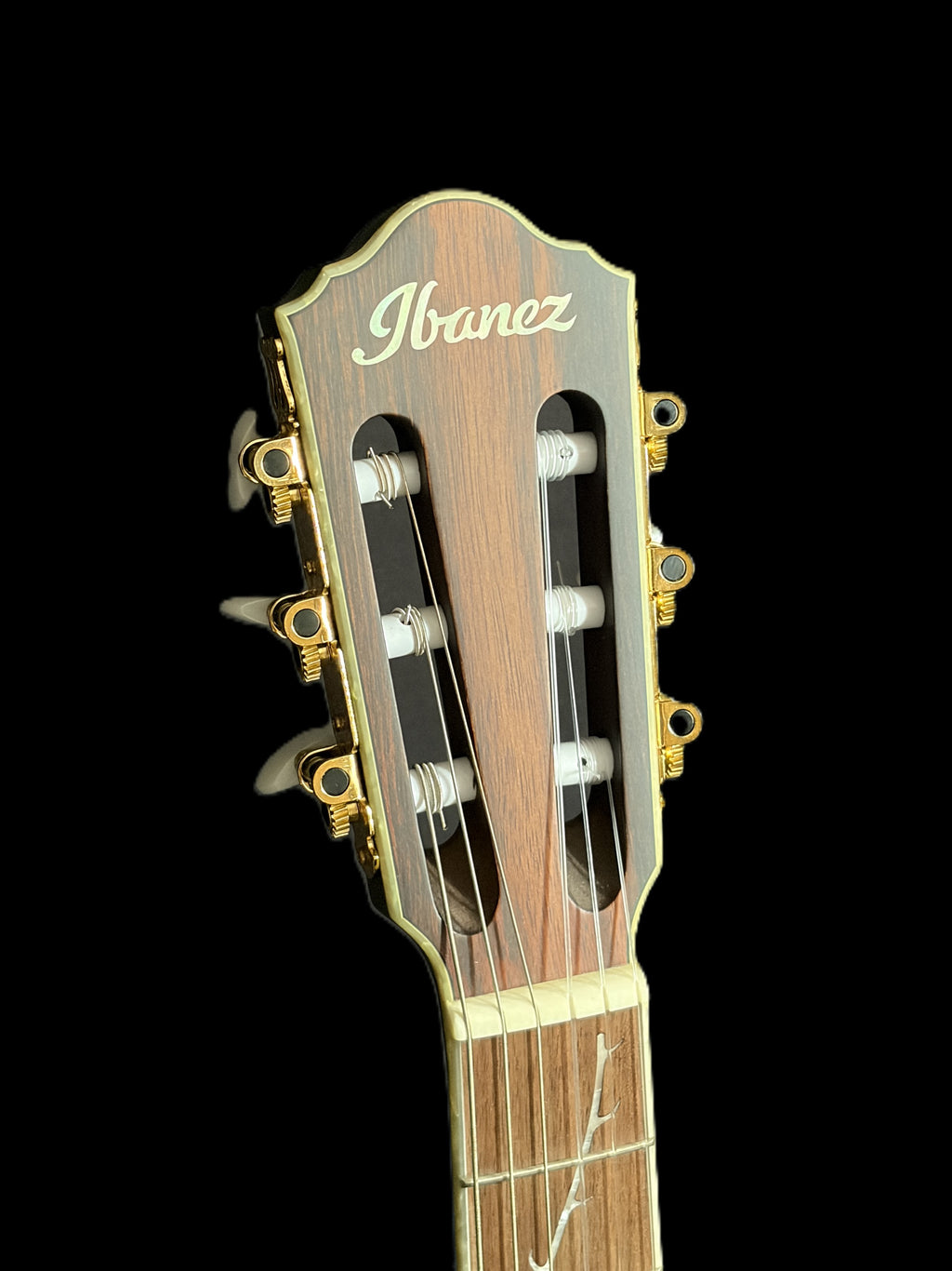 Ibanez TOD10N CDS Guitars