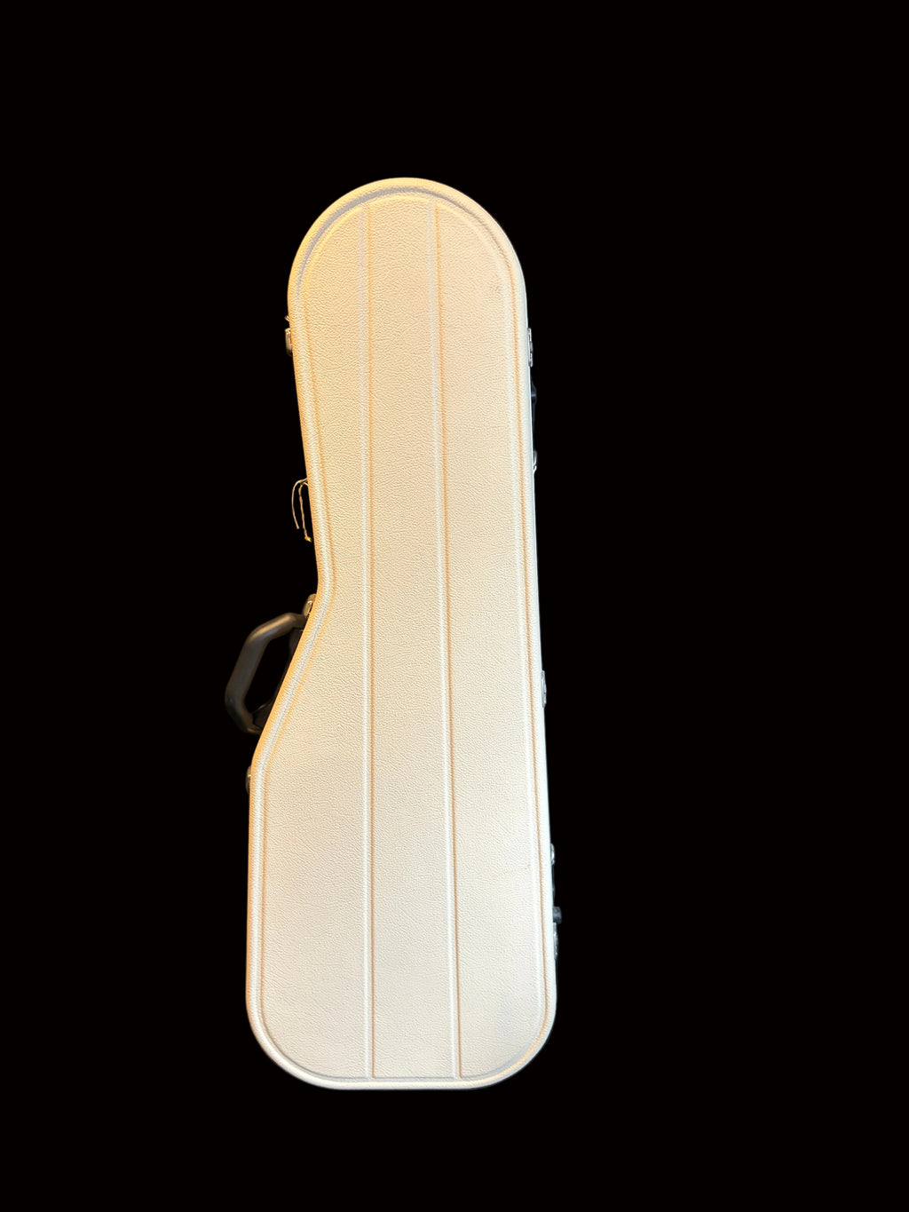 Hiscox Hard Case
