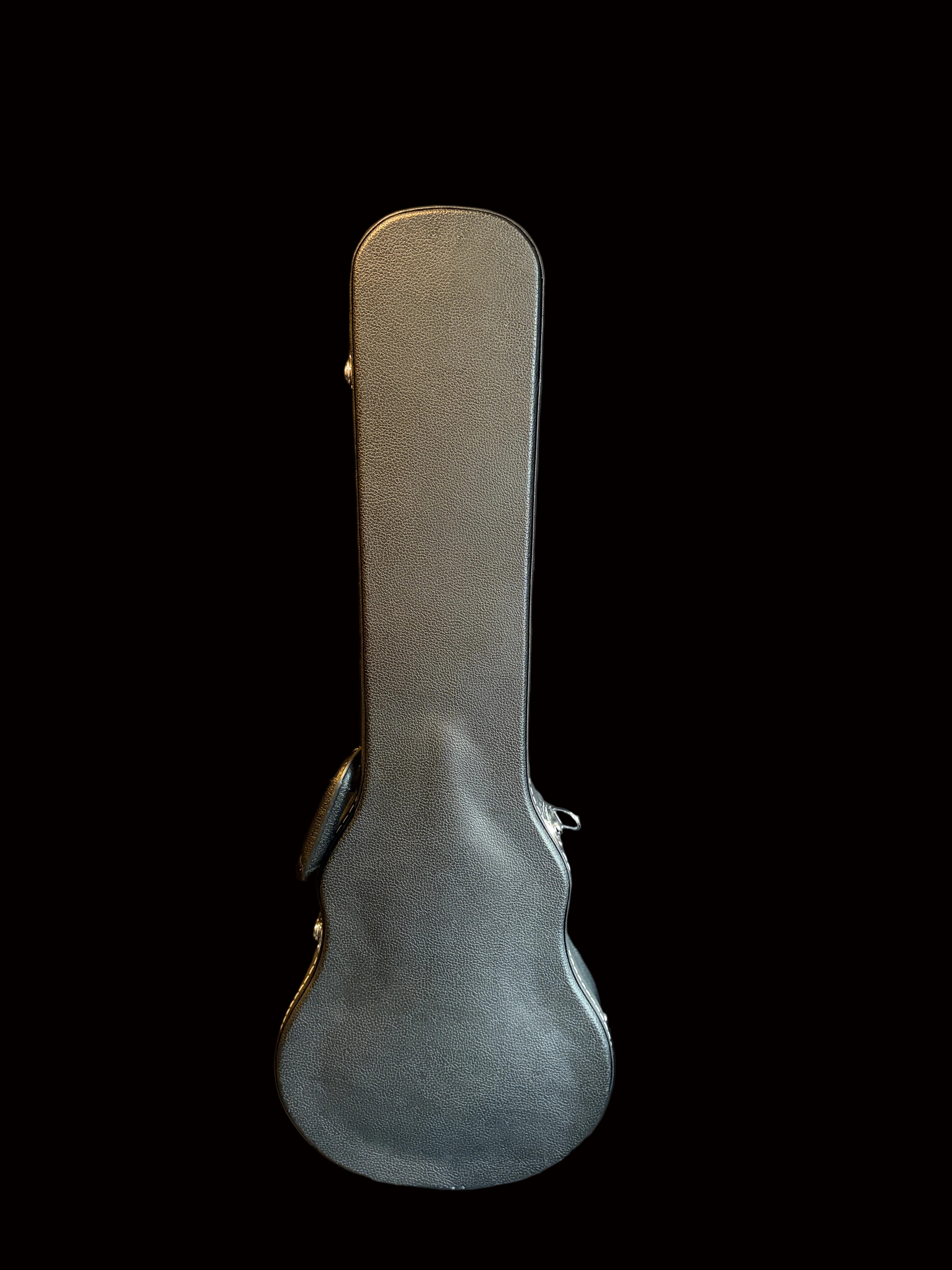 Gator Hard Case