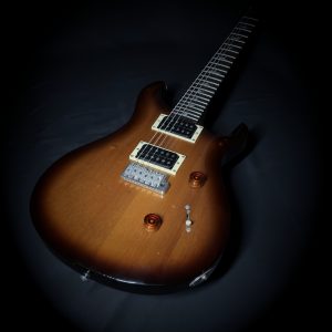 Use PRS SE Standard 24 for sale