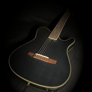 Ibanez TOD 10 N