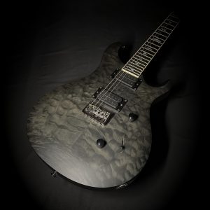 PRS SE Mark Holcomb