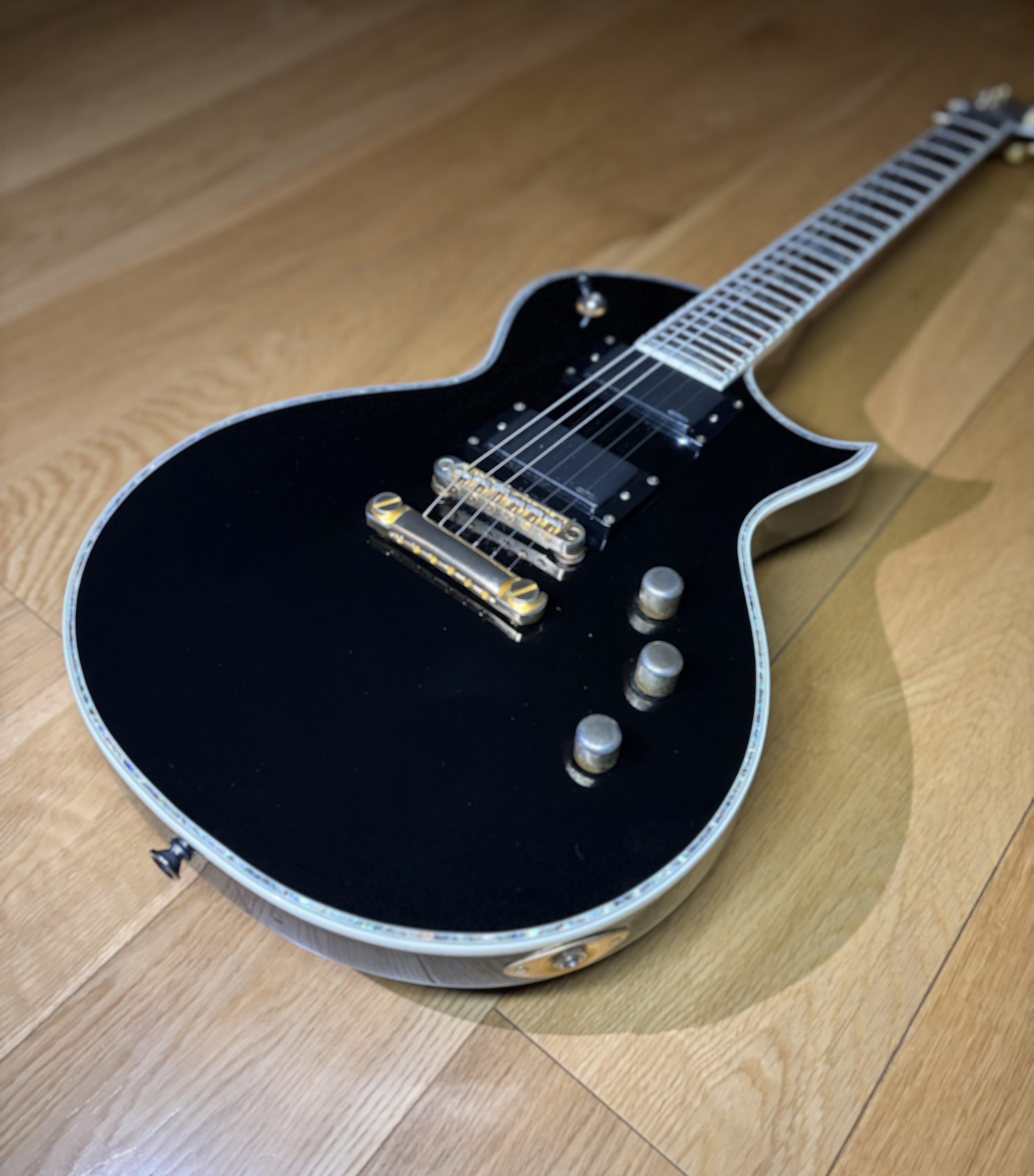 ESP LTD EC-1000 (2009)