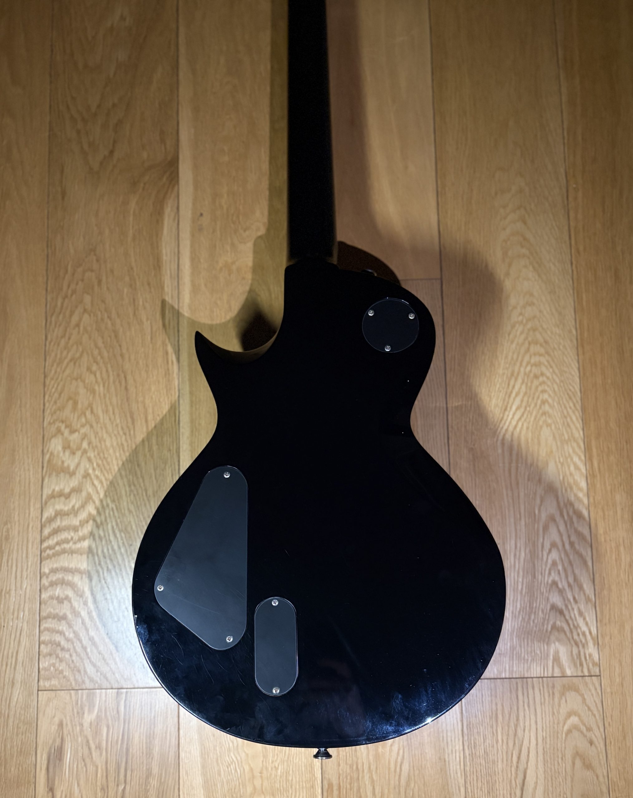 ESP LTD EC-1000 (2009) - Image 13