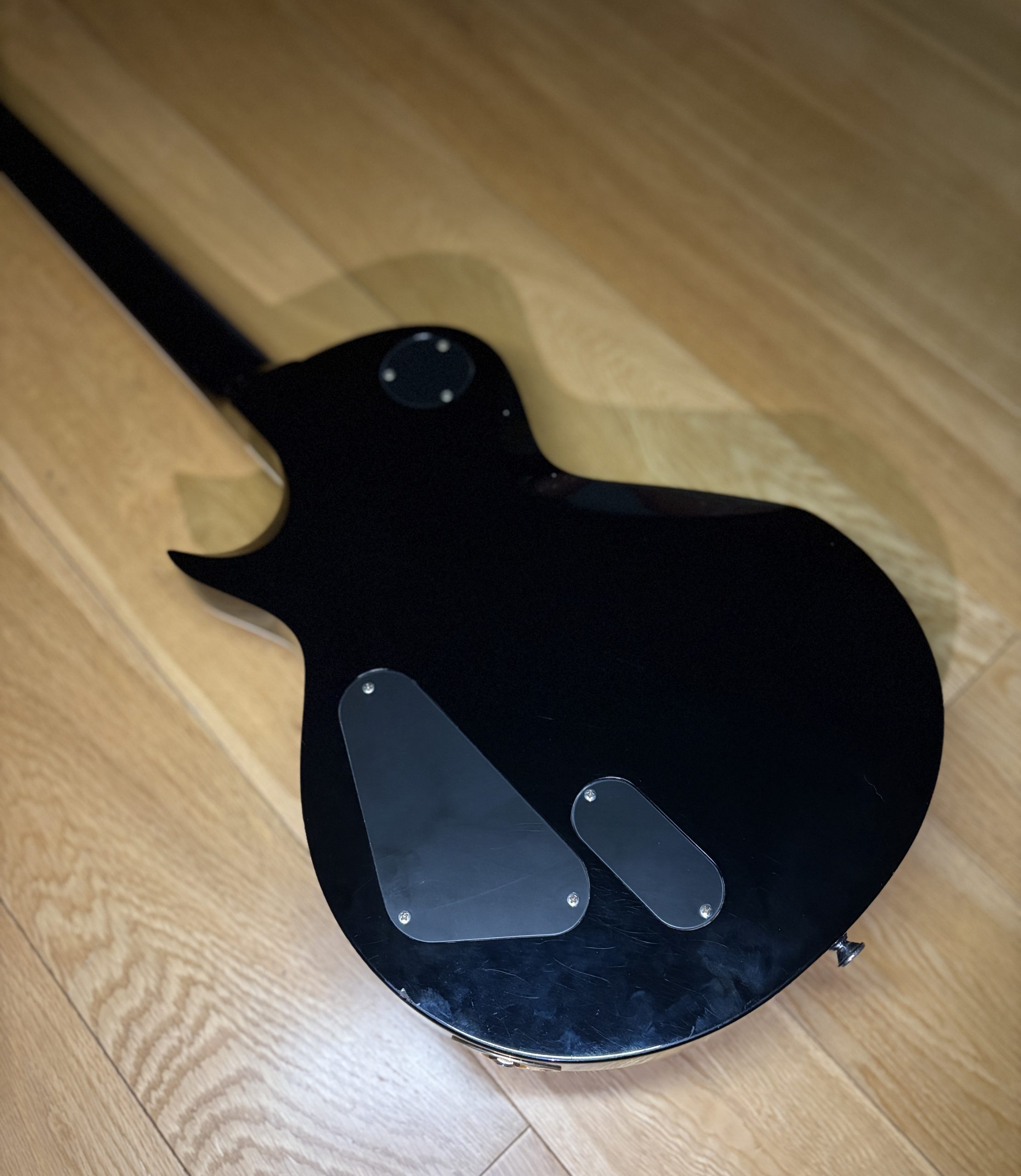 ESP LTD EC-1000 (2009) - Image 14