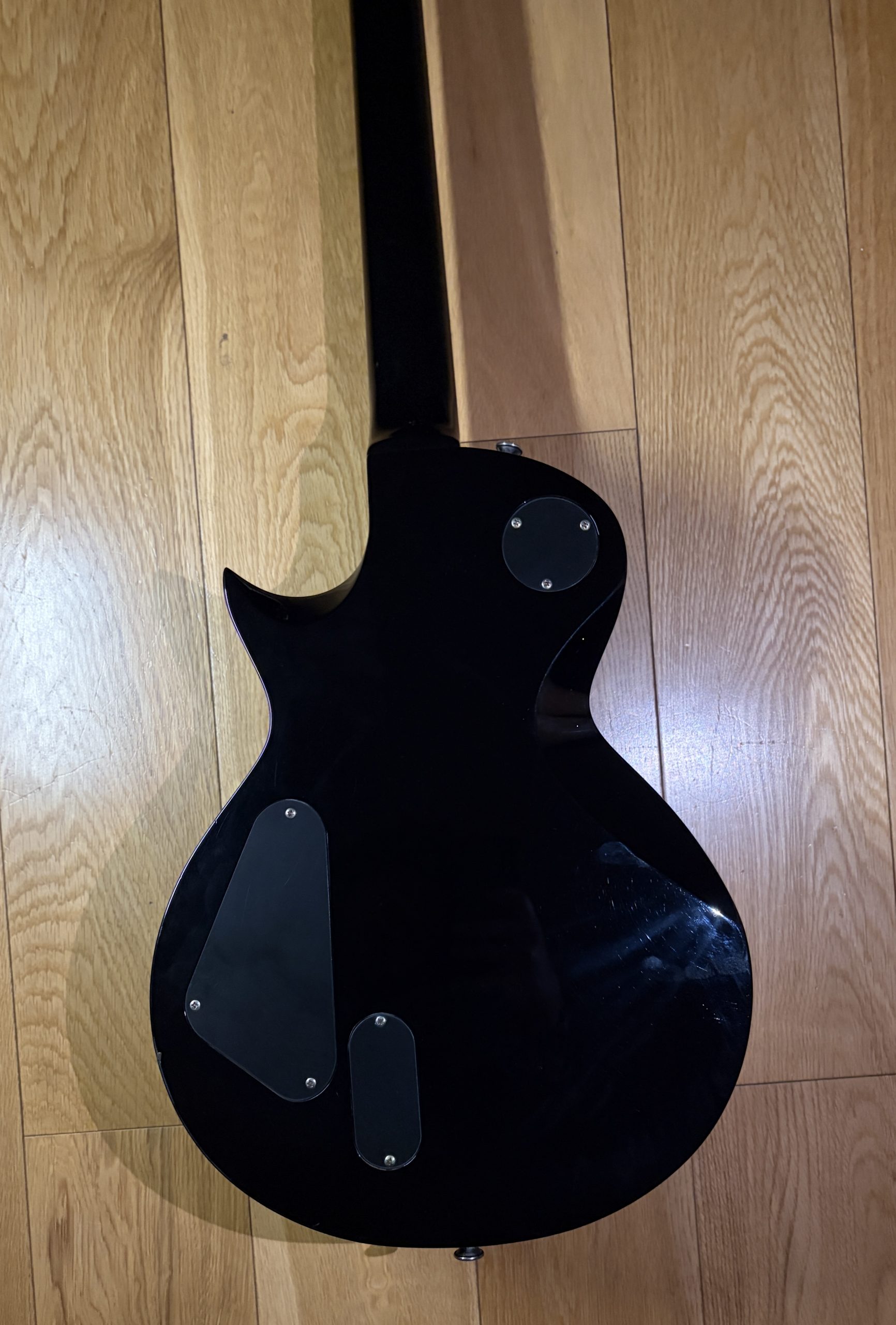 ESP LTD EC-1000 (2009) - Image 18