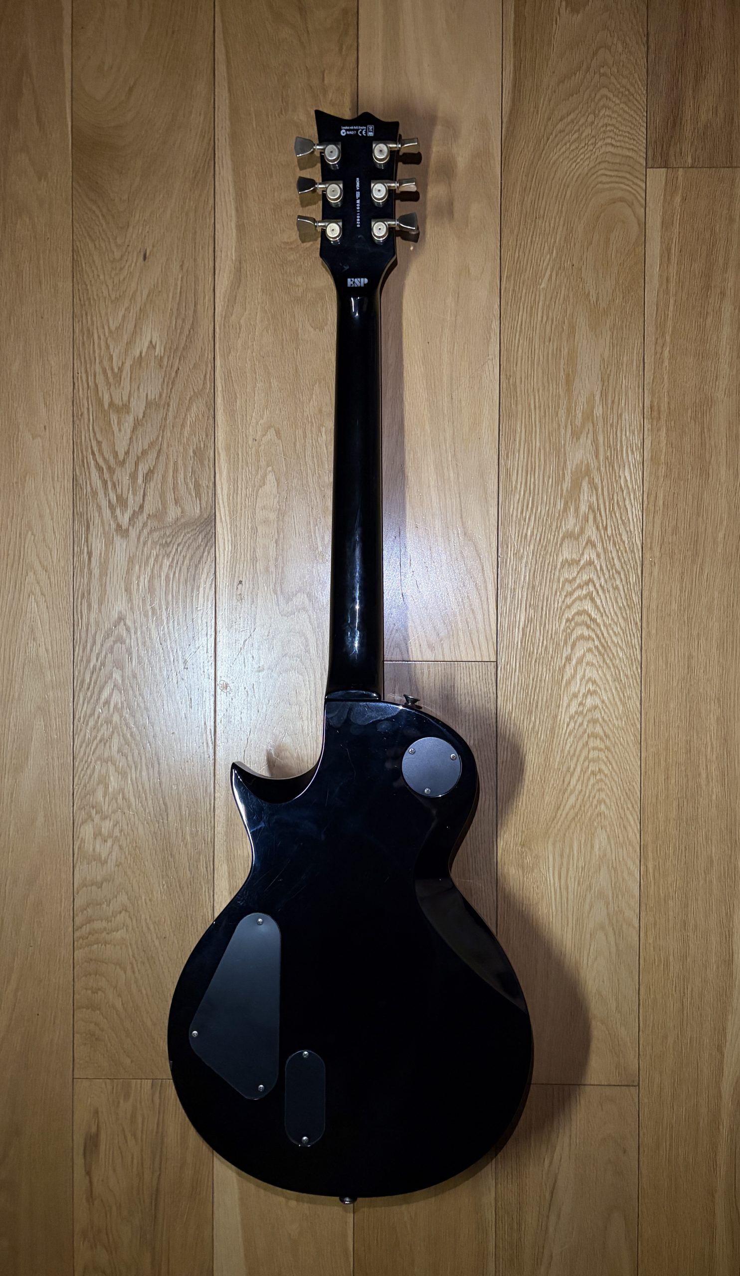 ESP LTD EC-1000 (2009) - Image 19